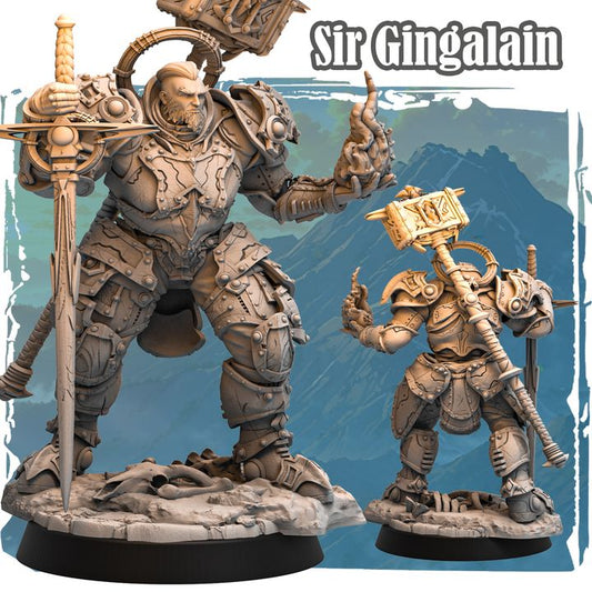 Sir Gingalain - Cleric - 35 mm